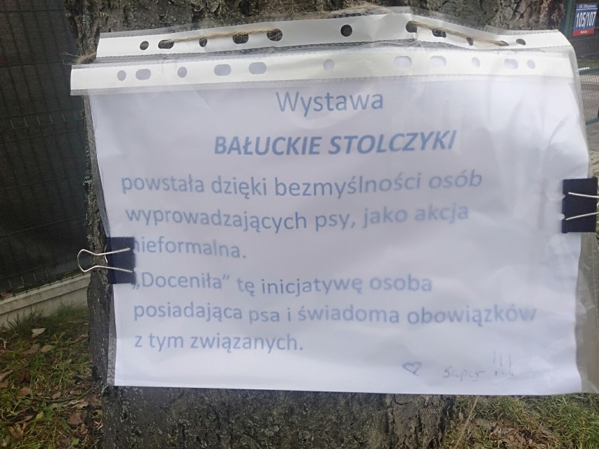 Problem psich kup na trawnikach Łodzi powraca co roku na...