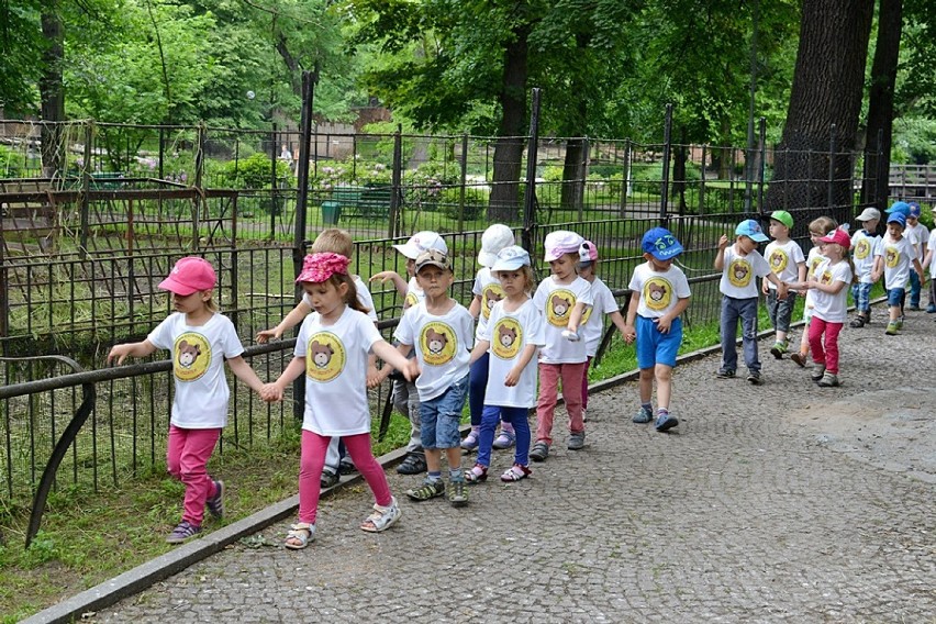 Syców: Przedszkolaki z dwójki w zoo