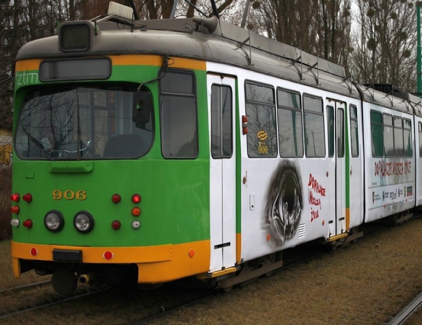 Na ulice miast wyjadą specjalne autobusy i tramwaje