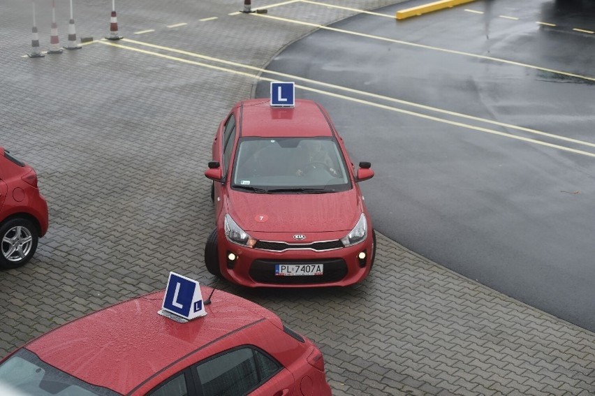 Ceny za prawo jazdy poszybują w górę. Od kiedy w Lesznie będzie drożej?