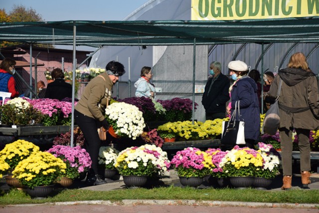 Na oświęcimskim targowisku, podobnie jak w kwiaciarniach, oferta bogata. Wybór zależy od gustu kupującego i zasobności portfela.