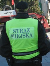 Straż Miejska w Malborku zatrzymała kolejną osobę, która niszczyła znaki drogowe