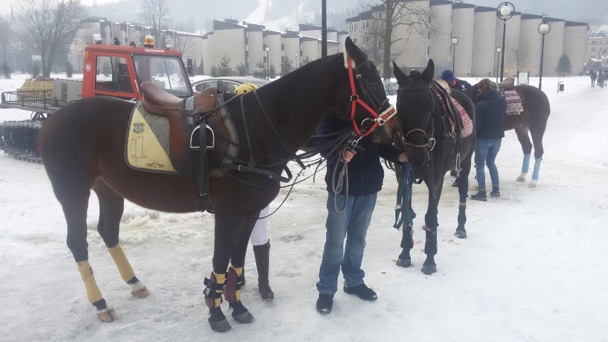 Turniej Snow Polo. Co za emocje! [ZDJĘCIA+WIDEO]