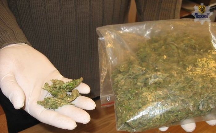 KWP: W samochodzie ukryli ponad 70 gram marihuany