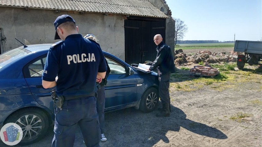 Gmina Nowe Skalmierzyce. Help Animals przejęło króliki na...