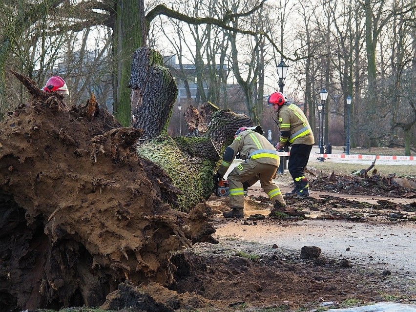 Łódzki Park Źródliska był w słoneczne środowe popołudnie...