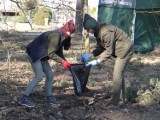 Sprzątanie lasu z leśnikami. Nadleśnictwo Radomsko zorganizowało akcję "Czysty las". ZDJĘCIA