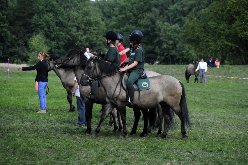 Sieraków - Tarpaniada 2013