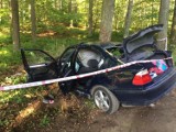 BMW uderzyło w drzewo w Luzinie [ZDJĘCIA]