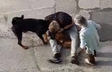 Chrzanów. Agresywny rottweiler rozszarpał małego psa na oczach jego właścicielki. To kolejne takie zdarzenie [ZDJĘCIA]