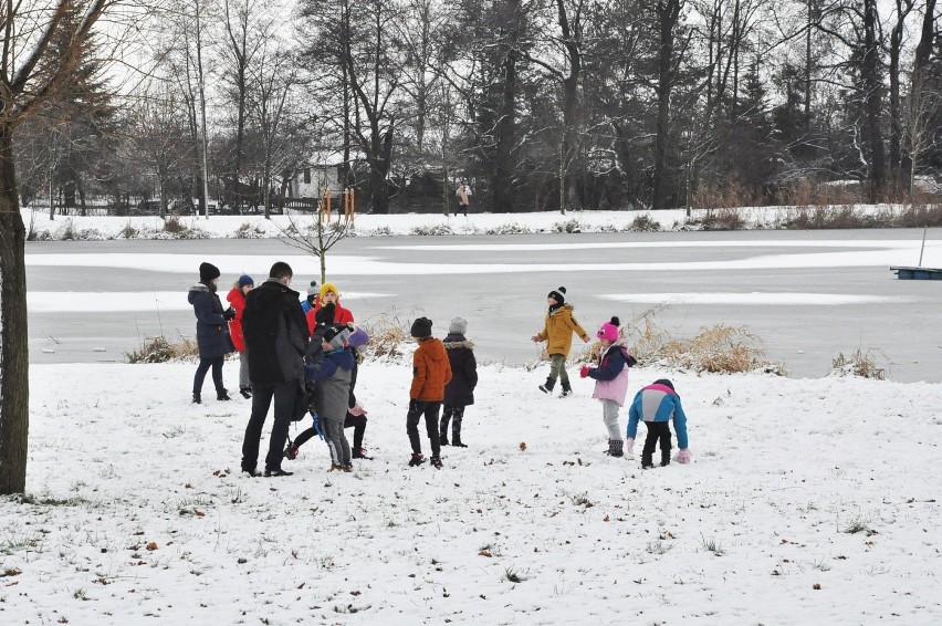 Śnieżna zima w Oleśnicy. Są sanki, bałwany i bitwy na śnieżki 
