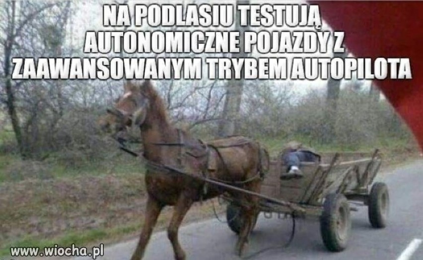 W naszym regionie rolników nie brakuje, wielu sobie...