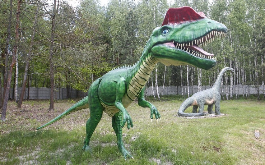 Dinozaury w Kolbuszowej czyli Jurajski Park Brzezóvka.