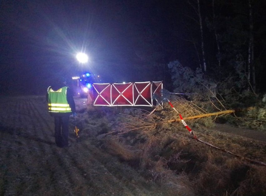 Tragedia na drodze w gminie Osjaków. Nie żyje 22-letni kierowca