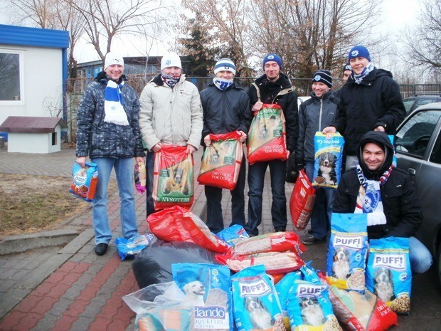 Kibice Górnika Konin zebrali 250 kilogramów karmy dla psów i kotów