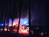 Pożar lasu w koło Górzykowa. Akcja gaśnicza trwała wiele godzin