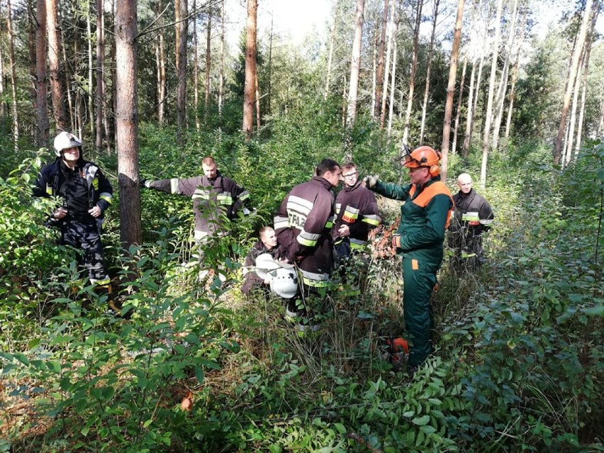 Leśnicy szkolili strażaków ochotników           