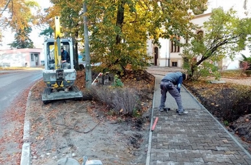 Przebudowa chodnika przy lublinieckim pomniku przyrody