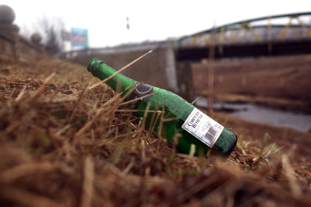 Rzeczniczka MPO tłumaczy, że sprawa nie jest prosta, ponieważ brzegi Rudawy nie są przewidziane do stałego, regularnego sprzątania, tak jak jest np. w przypadku chodników. - Jeśli okaże się, że brzeg rzeki w tym miejscu w całości należy do miasta, to zorganizujemy specjalną akcję sprzątania tego terenu - mówi Krystyna Paluchowska - zajmie to jednak około 2 tygodni.