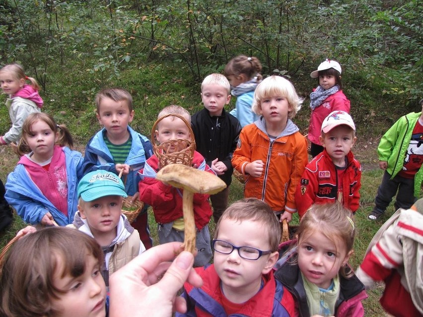 Dzieci z Przedszkola nr 5 &quot;Mali Przyrodnicy&quot; wybrały się na wycieczkę do lasu