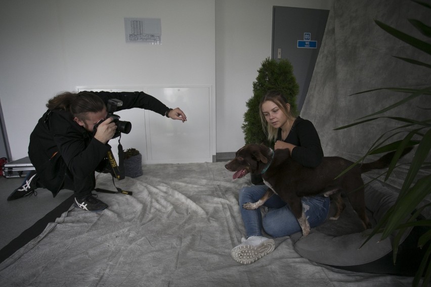 Profesjonalnie, ale bez usuwania niedoskonałości - psy ze schroniska na sesji zdjęciowej Słupskiej Grupy Fotograficznej [ZDJĘCIA]