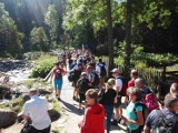 Tatry. Rekordowe lato w górach. TOPR podsumował wakacje. Tak dużo pracy ratownicy nie mieli od lat 