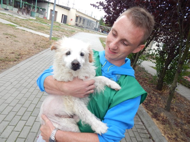 Rysiu czeka na nowy dom. Na zdjęciu z Krzysztofem,
wolontariuszem ze schroniska w Opolu.