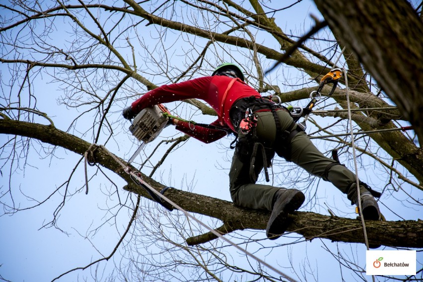 Ruszyły już prace mające na celu realizację projektu...