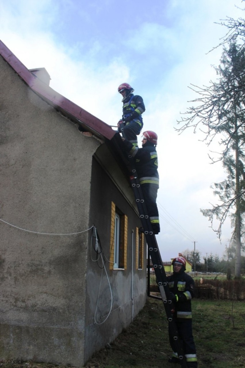Interwencje straży pożarnej podczas huraganu w Braniewie