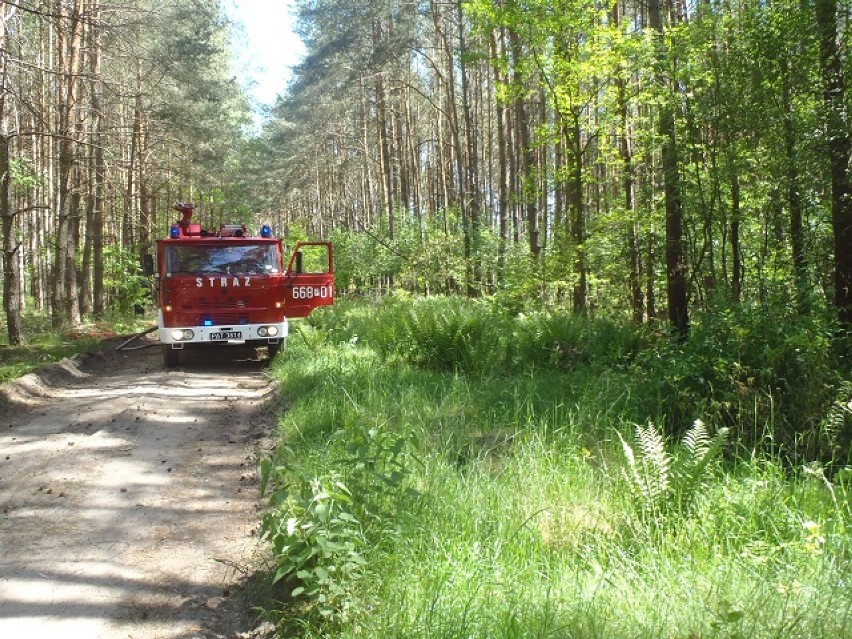 Koncówka maja była dla strażaków wytężonym czasem pracy