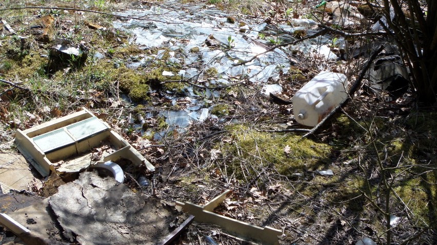 Dzikie wysypiska śmieci w myszkowskim lesie ZDJĘCIA