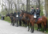 Policjanci z Kielc zabezpieczali mecz oPuchar Polski [zdjęcia]