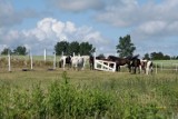 Kalendarz Dziennika Bałtyckiego. Galeria wszystkich zdjęć Czytelników. Zobacz i głosuj