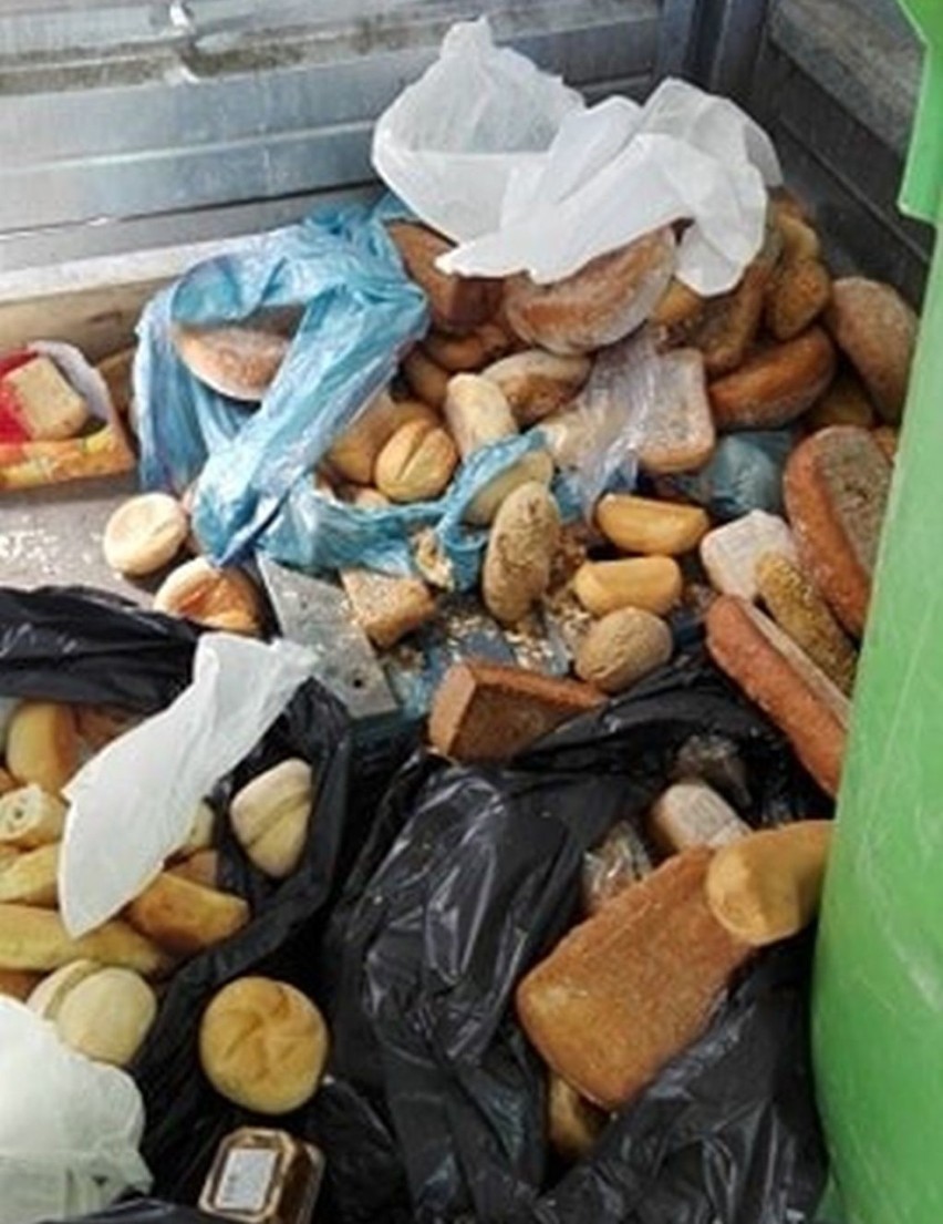 W Biedronce w Toruniu jedzenie trafiło na śmietnik! Sieć wyjaśnia [Zdjęcia]
