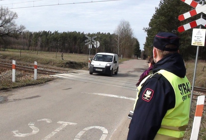 Akcja "Bezpieczny przejazd". Posypały się mandaty.