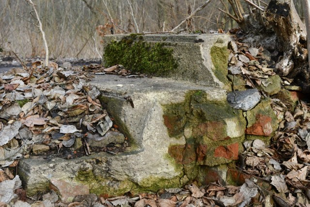 Pozostałości schodów w miejscu, gdzie niegdyś stał młyn wodny.