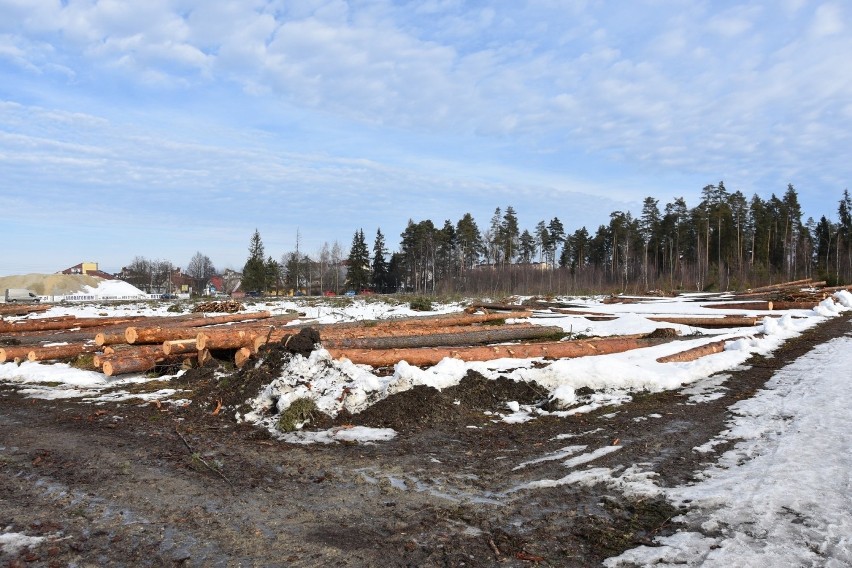 Nowy Targ. Ruszyła wycinka drzew pod kolejny odcinek nowej zakopianki