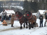 Złatna: Konie gnały po śniegu ile sił !