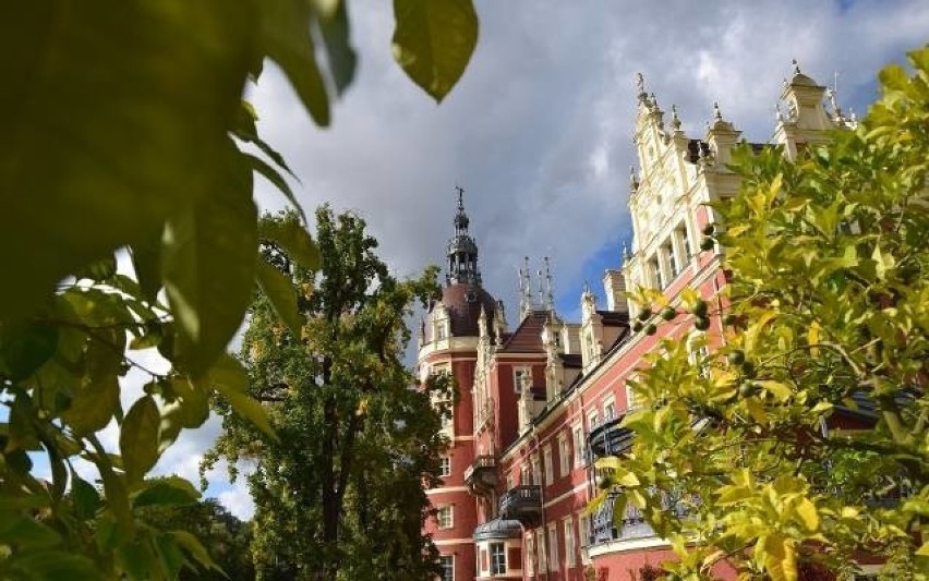 Park Mużakowski w Łęknicy i Bad Muskau to jeden z...