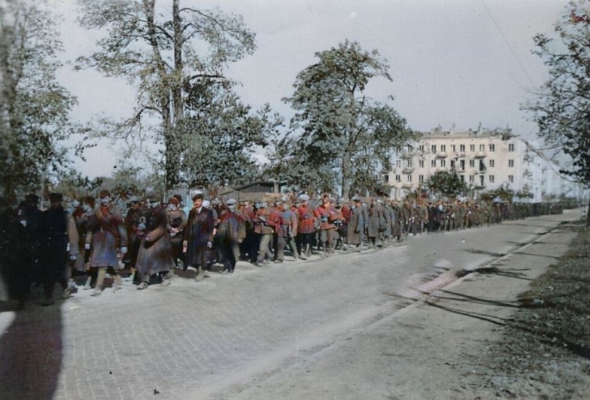1939, polscy jeńcy w Ostrowcu.
