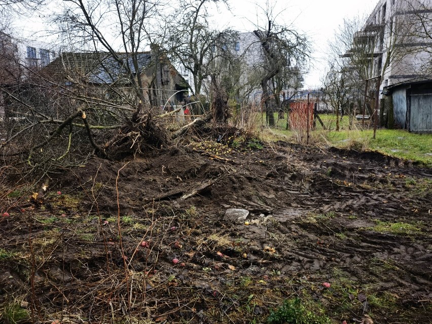 Mieszkańcy posesji przy ulicy Spokojnej zrobili zdjęcia...