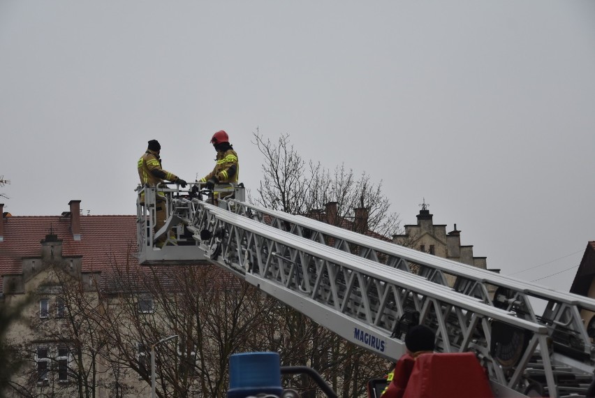 Uwięziony ptak na dachu budynku. Na pomoc ruszyli oleśniccy strażacy