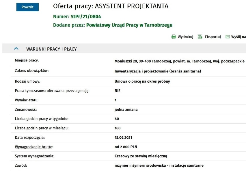 Praca w Tarnobrzegu i okolicy. Szukasz zatrudnienia? Oto najnowsze oferty