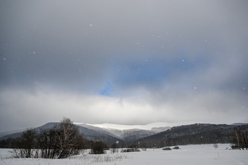 Zimowy krajobraz w miejscowości Wołosate.