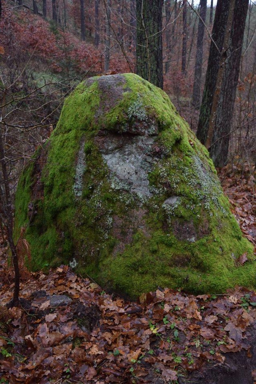 Miastko dawniej i dziś - wystawa w Bad Fallingbostel. Wyślij swoje zdjęcia (FOTO)