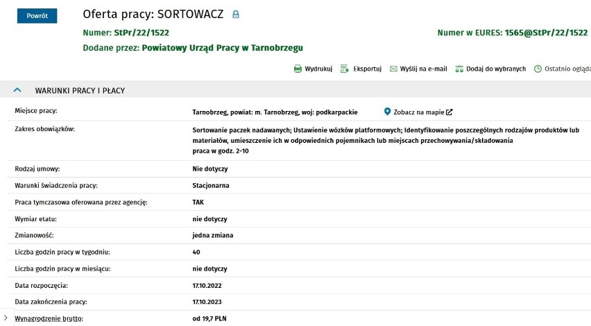 Szukasz pracy w Tarnobrzegu lub okolicy? Sprawdź aktualne oferty. Zarobki nawet do 17 tysięcy złotych miesięcznie!