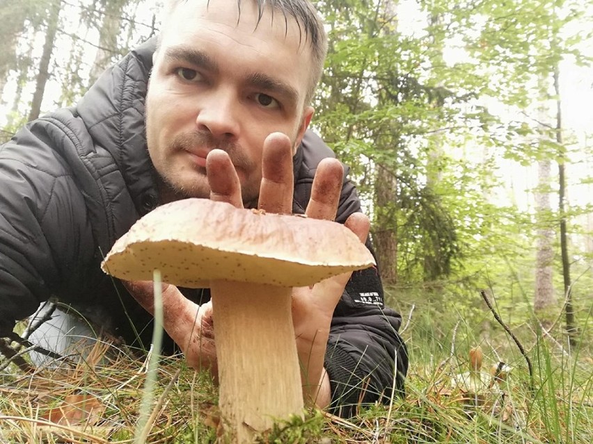 W lasach roi się od grzybów. Zobaczcie te, które zebrali nasi Czytelnicy! 