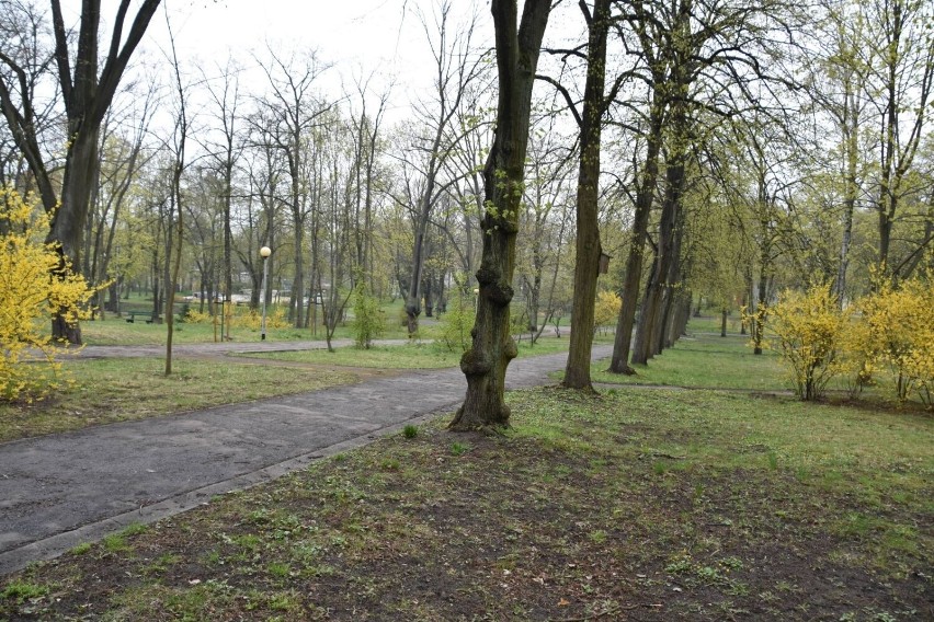 Park Tysiąclecia w Zielonej Górze. Widoki wiosną 2022 roku