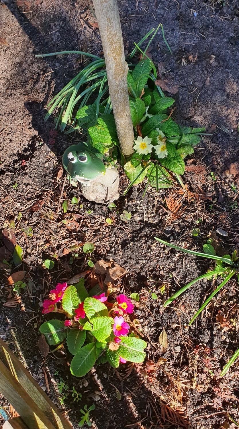 Nasi czytelnicy uchwycili wiosnę na zdjęciach. Zobaczcie jak już jest pięknie w Żarach