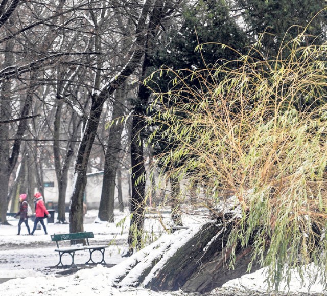 Park przy Dąbrowskiego na remont czeka już 10 lat